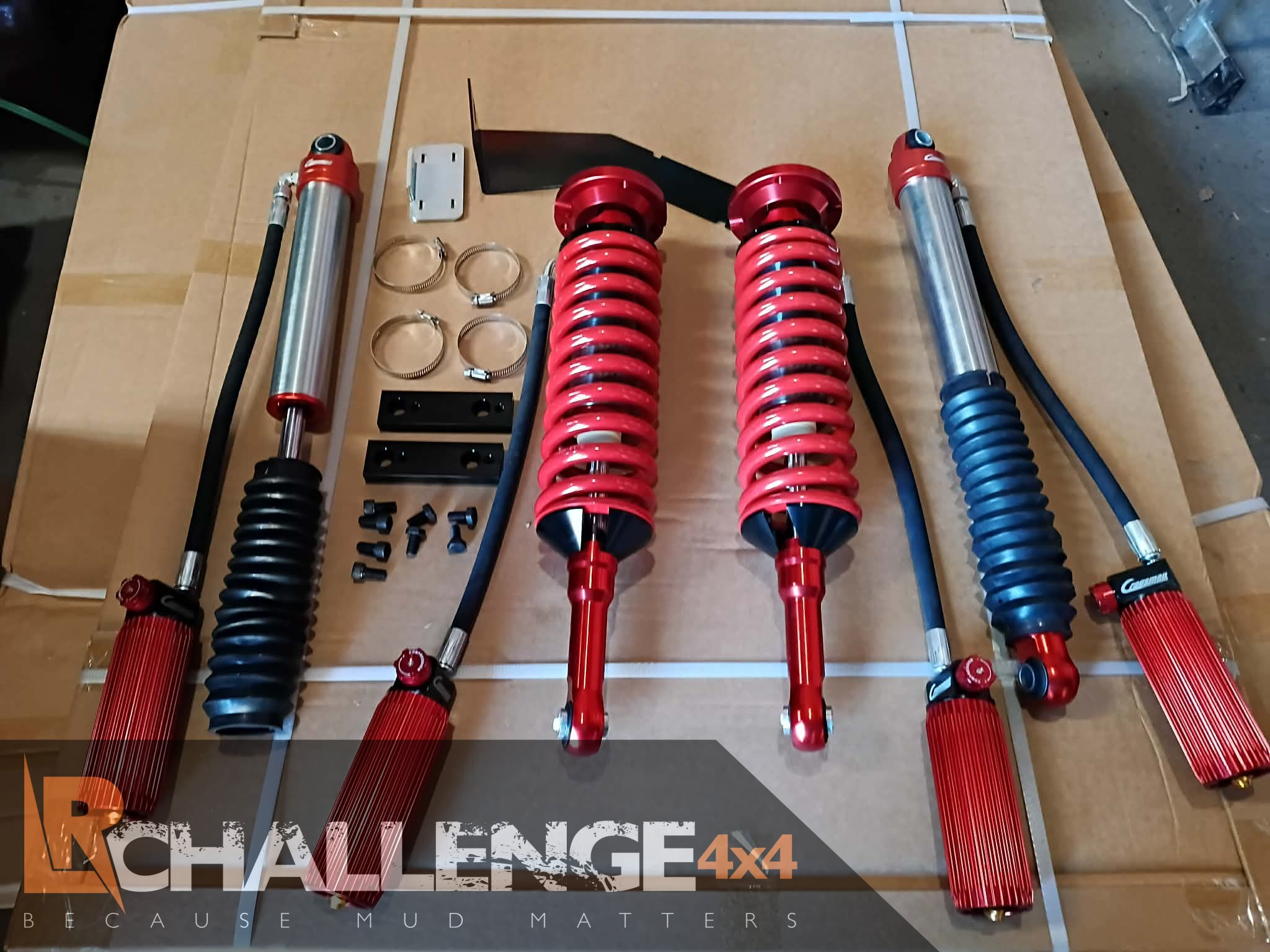 99869c0f-44b3-4274-b0f5-86b2e571d534